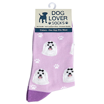 Dog Lover Socks Maltese